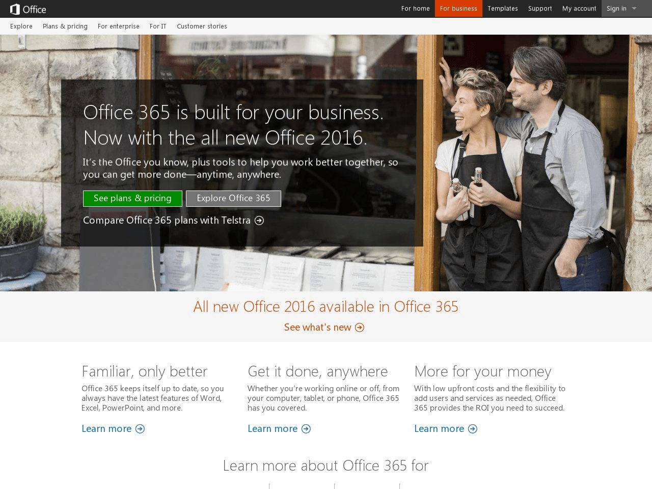 Microsoft SkyDrive Pro Screenshot