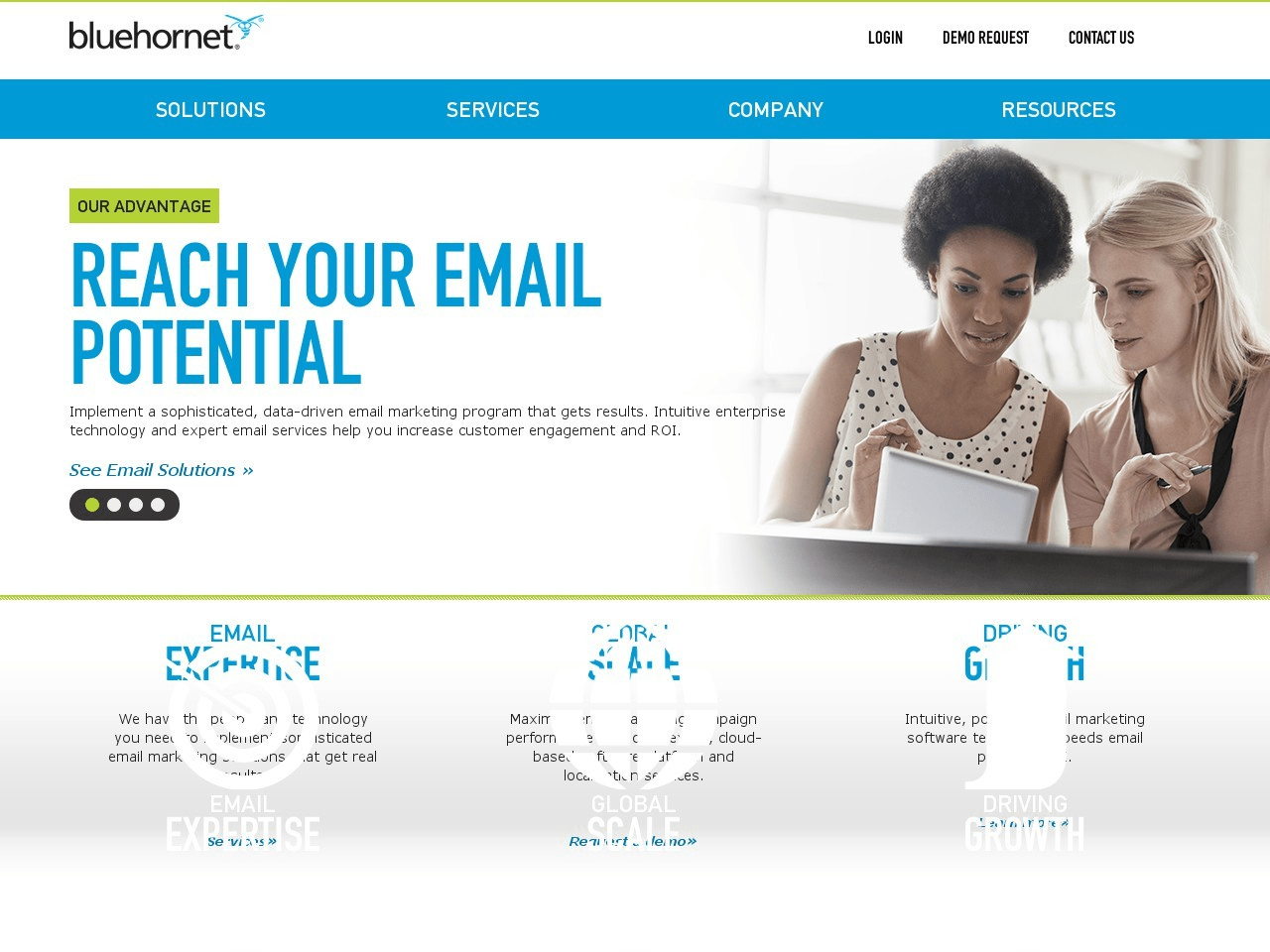 Bluehornet Screenshot