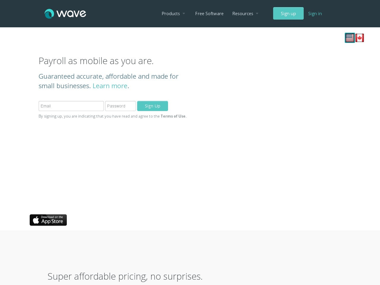 Wave Payroll Screenshot